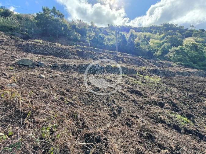 Terreno para Venda em Tabua Foto 6