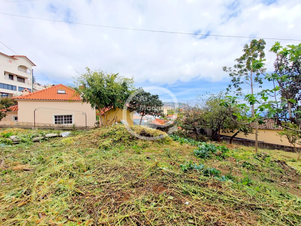 Moradia T3 para Venda em Imaculado Coração de Maria Foto 12
