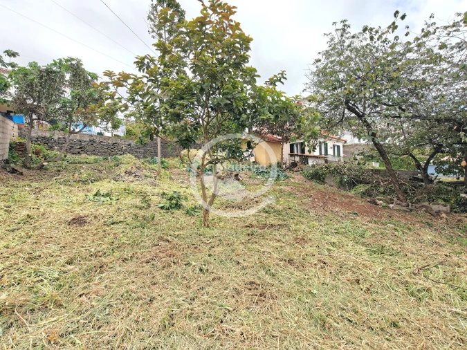 Moradia T3 para Venda em Imaculado Coração de Maria Foto 13