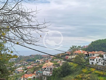 Terreno para Venda em Santo Antonio
