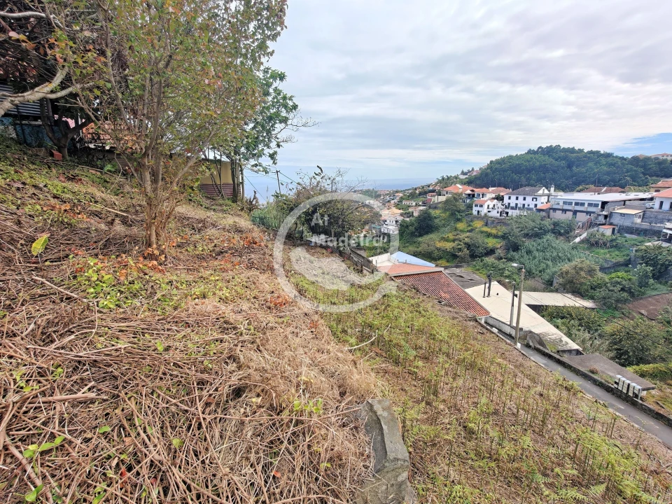 Terreno para Venda em Santo Antonio Foto 11