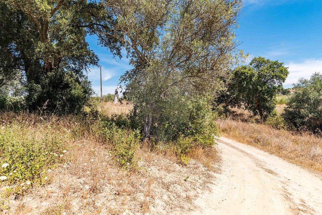 Terreno para Venda em Marvila, Ribeira Santarém, São Salvador, São Nicolau Foto 21