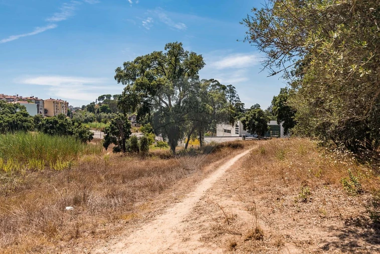 Terreno para Venda em Marvila, Ribeira Santarém, São Salvador, São Nicolau Foto 24