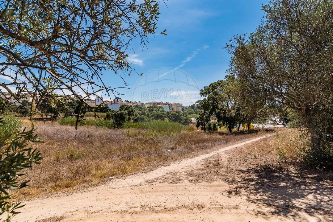 Terreno para Venda em Marvila, Ribeira Santarém, São Salvador, São Nicolau Foto 20