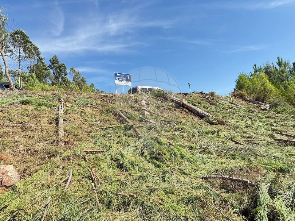 Terreno para Venda em Mação, Penhascoso e Aboboreira Foto 1