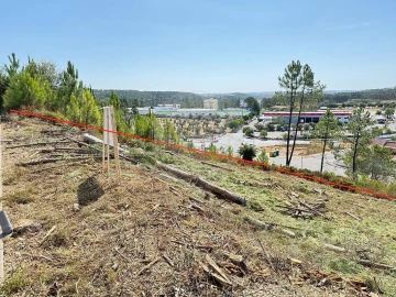 Terreno para Venda em Mação, Penhascoso e Aboboreira