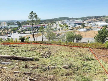 Terreno para Venda em Mação, Penhascoso e Aboboreira