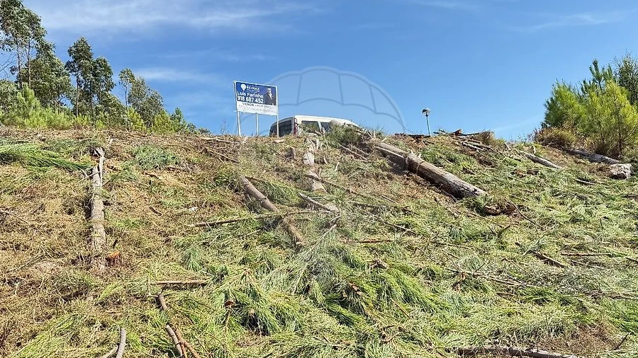 Terreno para Venda em Mação, Penhascoso e Aboboreira