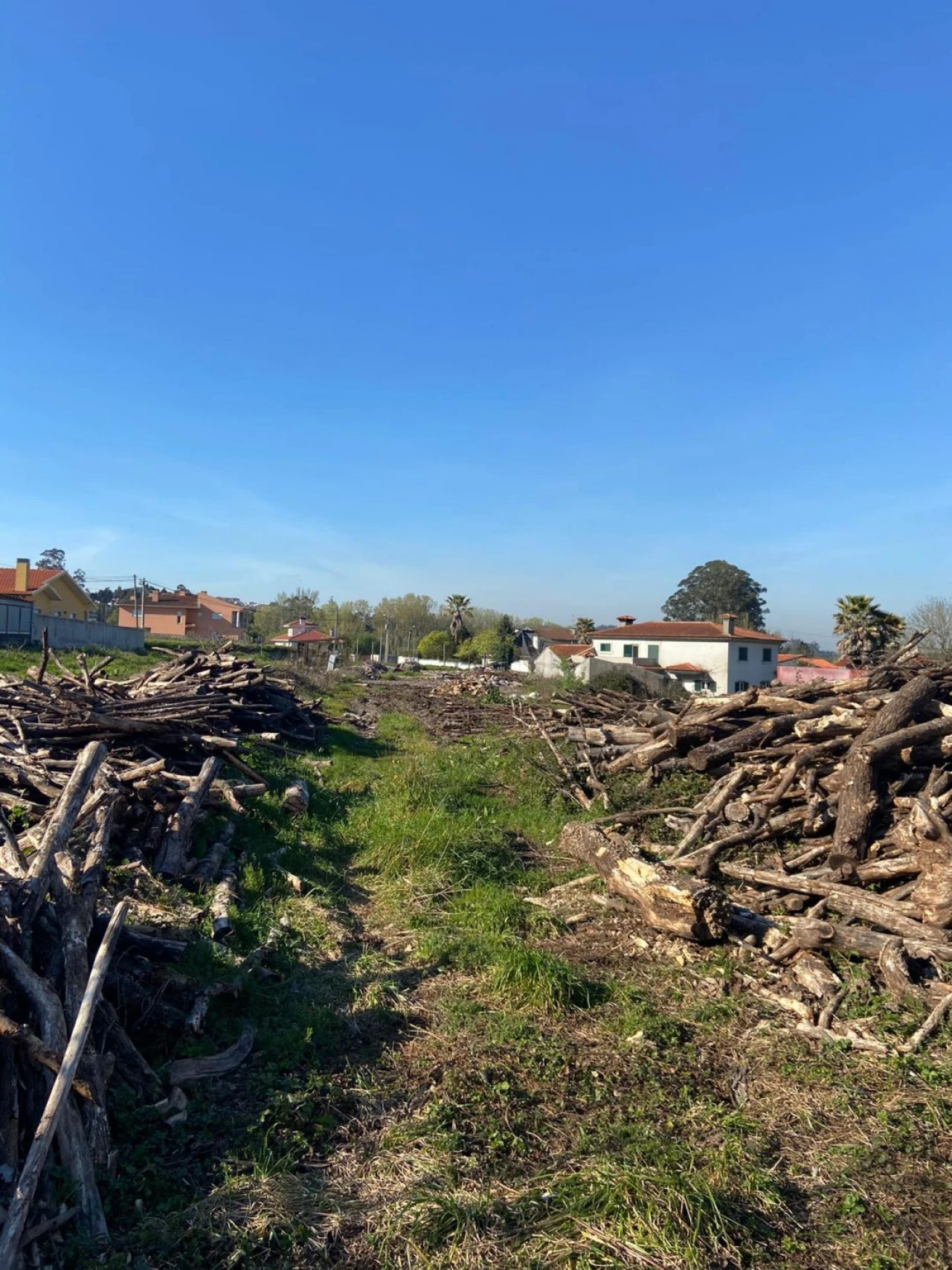 Terreno Agricola ou Rústico para Venda em Santa Maria da Feira, Travanca, Sanfins e Espargo Foto 3