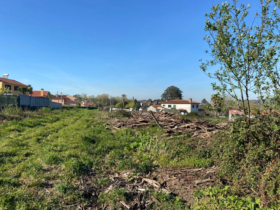 Terreno Agricola ou Rústico para Venda em Santa Maria da Feira, Travanca, Sanfins e Espargo Foto 8