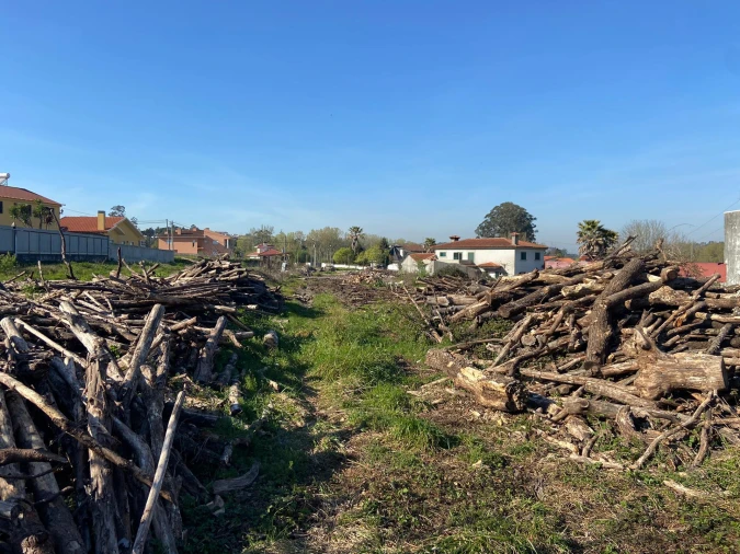 Terreno Agricola ou Rústico para Venda em Santa Maria da Feira, Travanca, Sanfins e Espargo Foto 7