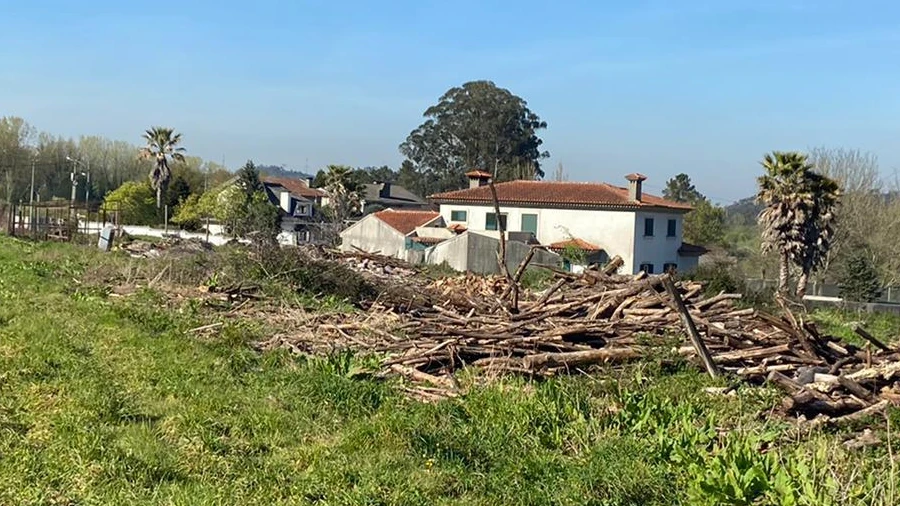 Terreno Agricola ou Rústico para Venda em Santa Maria da Feira, Travanca, Sanfins e Espargo