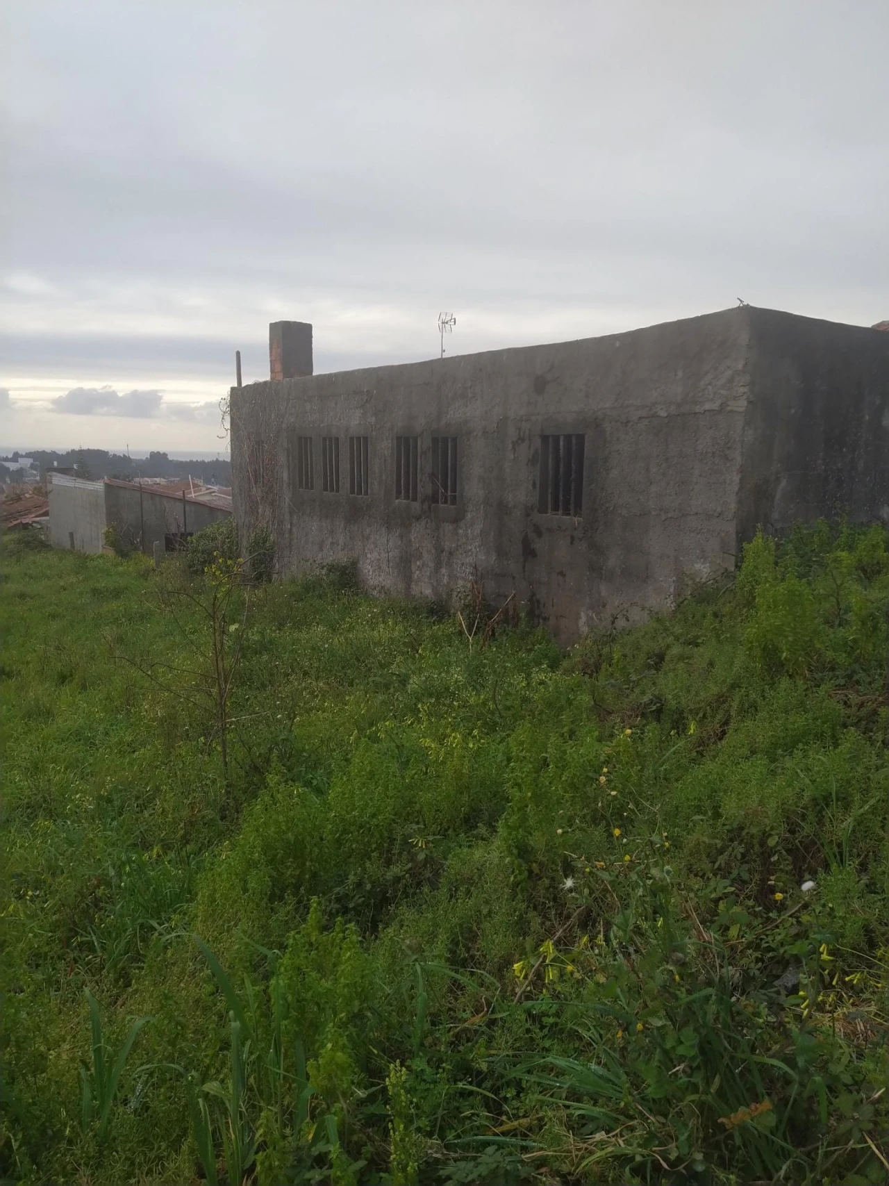 Terreno Agricola ou Rústico para Venda em Nogueira da Regedoura Foto 1