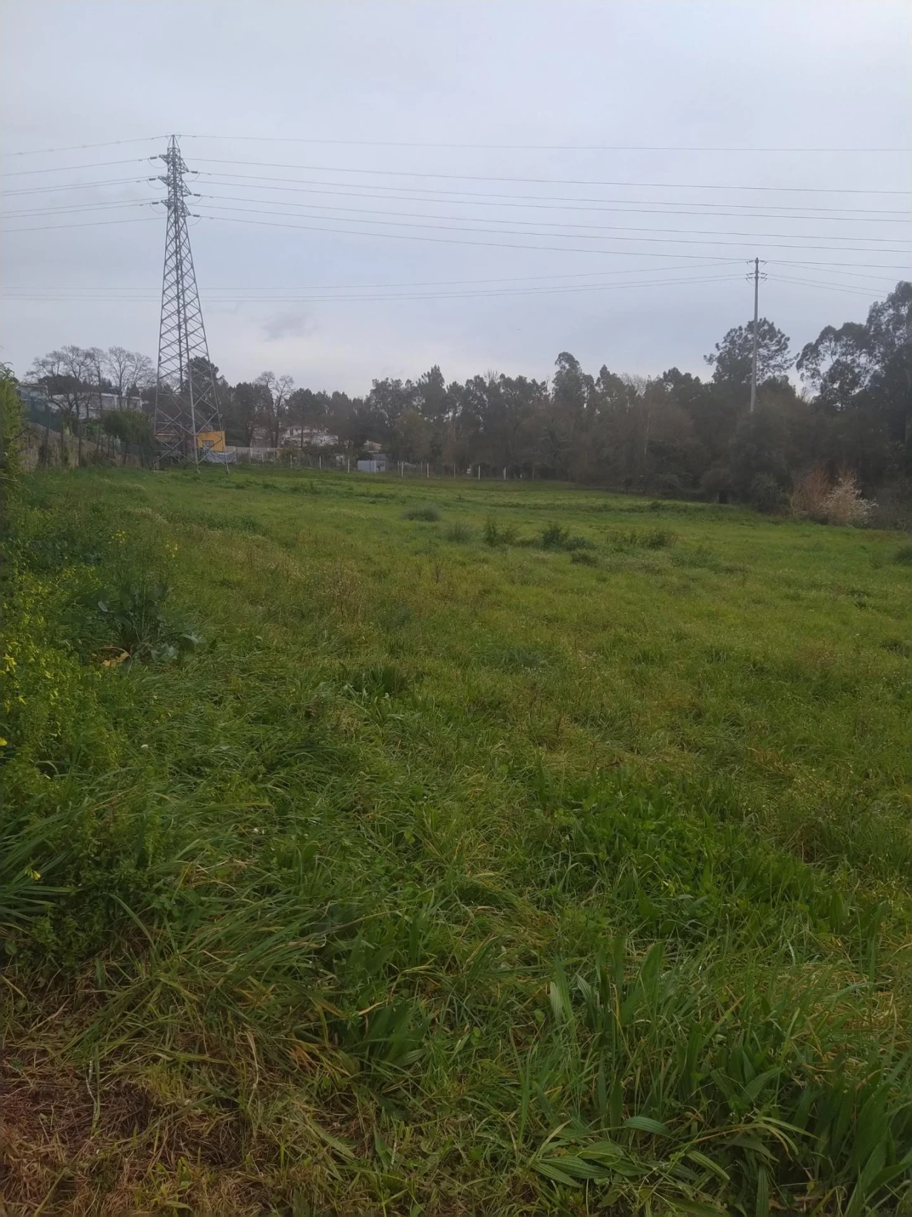 Terreno Agricola ou Rústico para Venda em Nogueira da Regedoura Foto 2