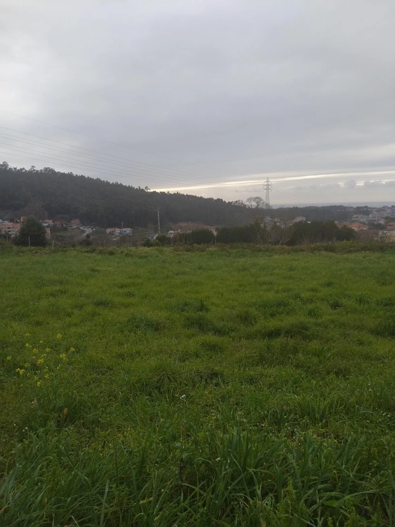 Terreno Agricola ou Rústico para Venda em Nogueira da Regedoura Foto 3