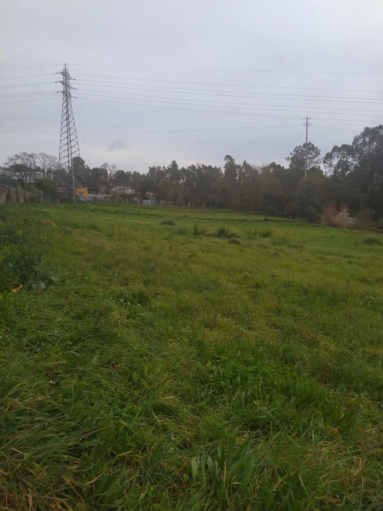 Terreno Agricola ou Rústico para Venda em Nogueira da Regedoura Foto 4