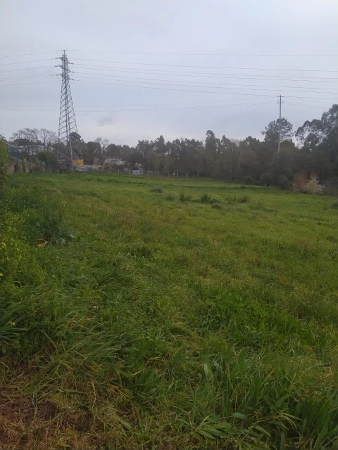 Terreno Agricola ou Rústico para Venda em Nogueira da Regedoura