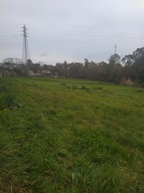 Terreno Agricola ou Rústico para Venda em Nogueira da Regedoura