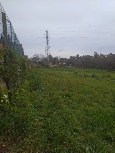Terreno Agricola ou Rústico para Venda em Nogueira da Regedoura