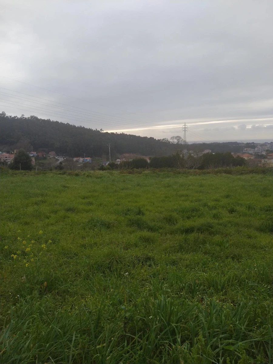 Terreno Agricola ou Rústico para Venda em Nogueira da Regedoura Foto 3