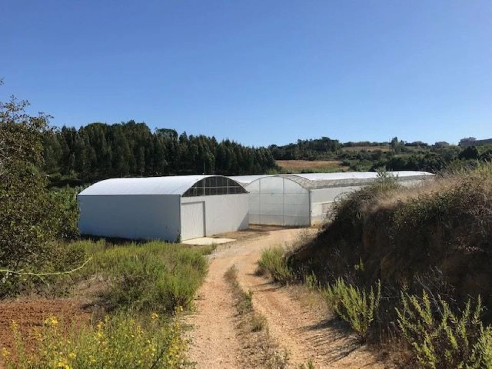 Terreno Agricola ou Rústico para Venda em Gesteira e Brunhós Foto 13