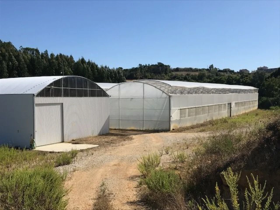 Terreno Agricola ou Rústico para Venda em Gesteira e Brunhós Foto 2