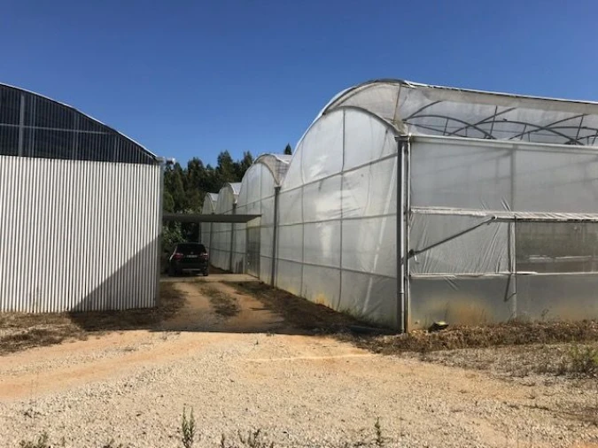 Terreno Agricola ou Rústico para Venda em Gesteira e Brunhós Foto 3