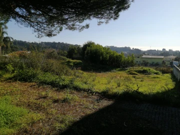 Terreno para Venda em Anta e Guetim