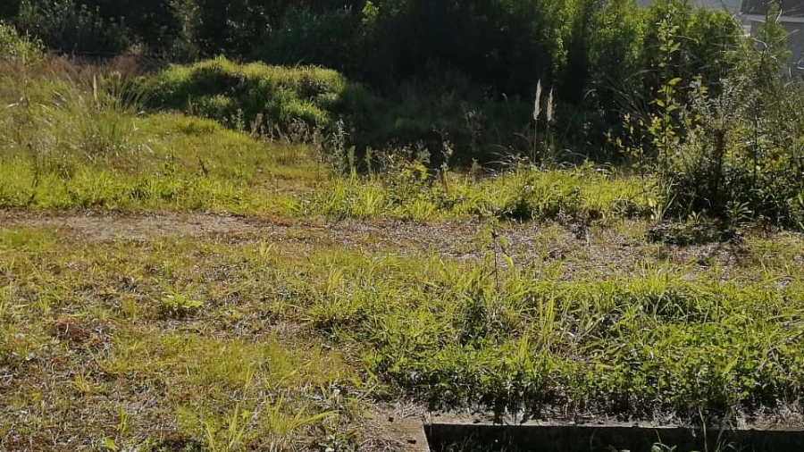 Terreno para Venda em Anta e Guetim