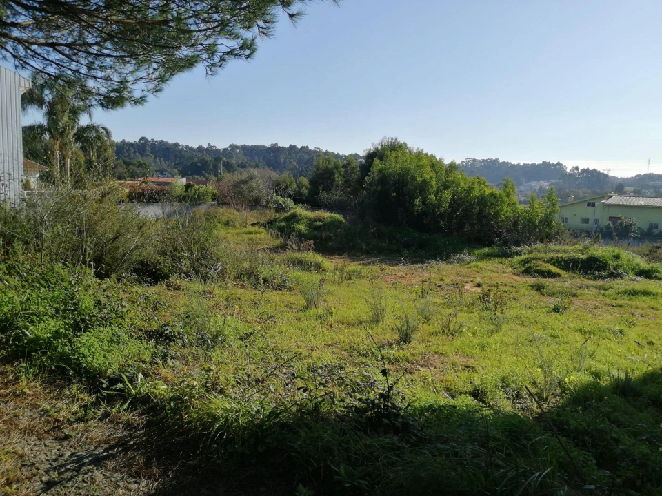 Terreno para Venda em Anta e Guetim Foto 1