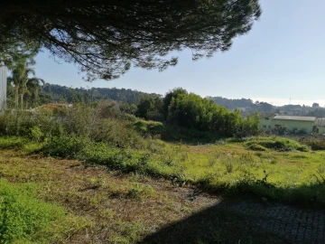 Terreno para Venda em Anta e Guetim