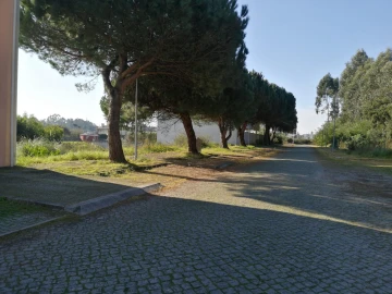 Terreno para Venda em Anta e Guetim