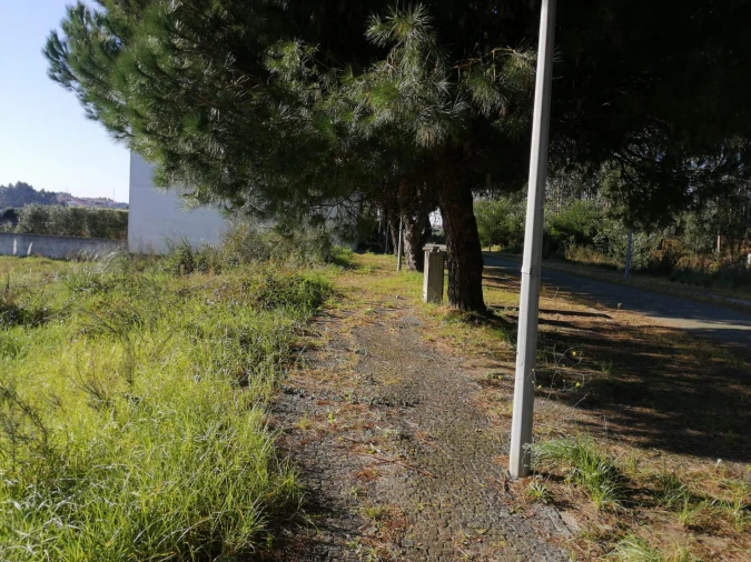 Terreno para Venda em Anta e Guetim Foto 16