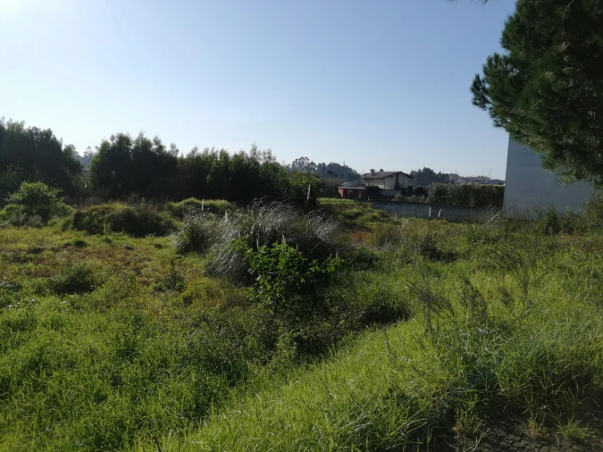 Terreno para Venda em Anta e Guetim Foto 17