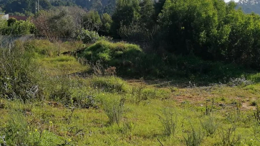 Terreno para Venda em Anta e Guetim