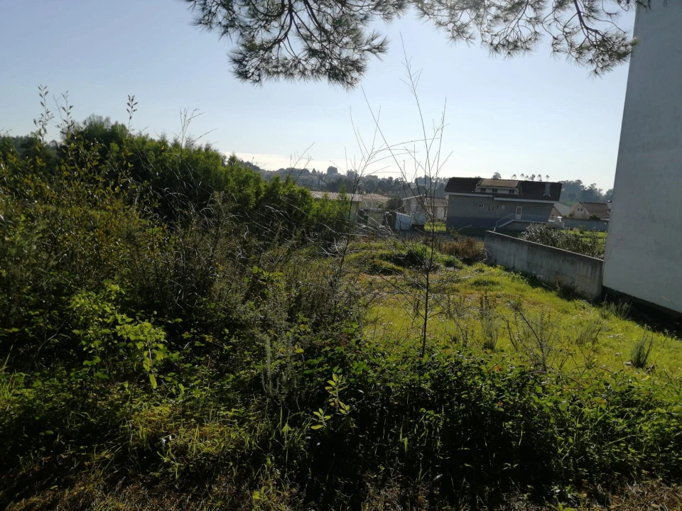 Terreno para Venda em Anta e Guetim Foto 14
