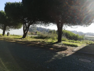 Terreno para Venda em Anta e Guetim