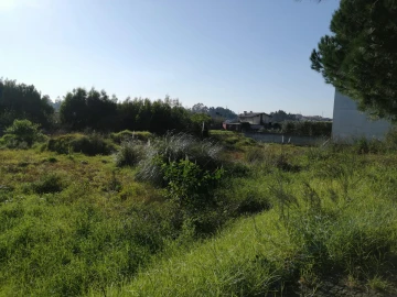 Terreno para Venda em Anta e Guetim