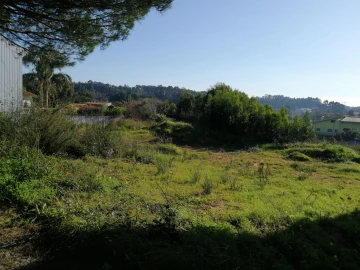 Terreno para Venda em Anta e Guetim
