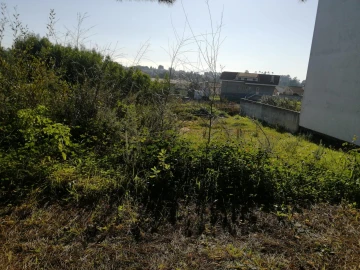Terreno para Venda em Anta e Guetim