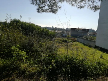 Terreno para Venda em Anta e Guetim