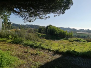 Terreno para Venda em Anta e Guetim