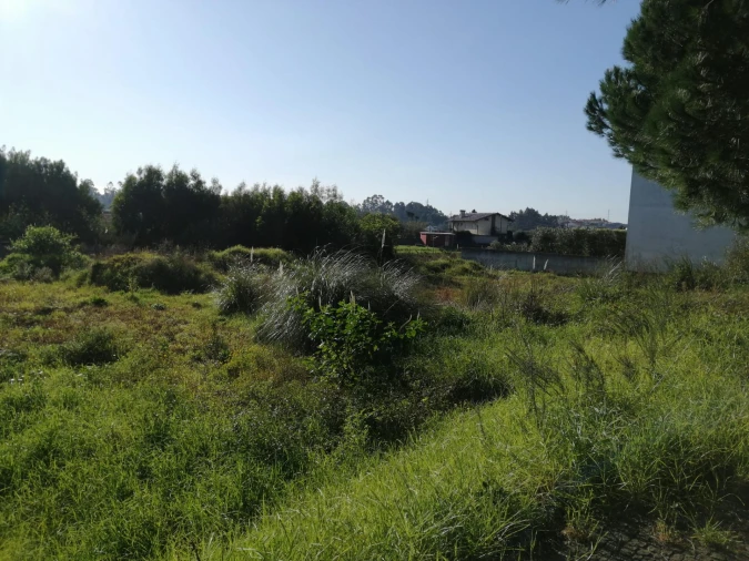 Terreno para Venda em Anta e Guetim Foto 17