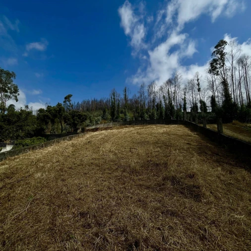 Terreno Agricola ou Rústico para Venda em Melres e Medas Foto 6
