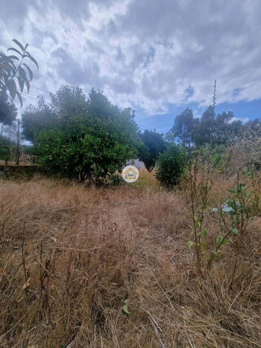 Moradia T3 para Venda em Lousã e Vilarinho Foto 30