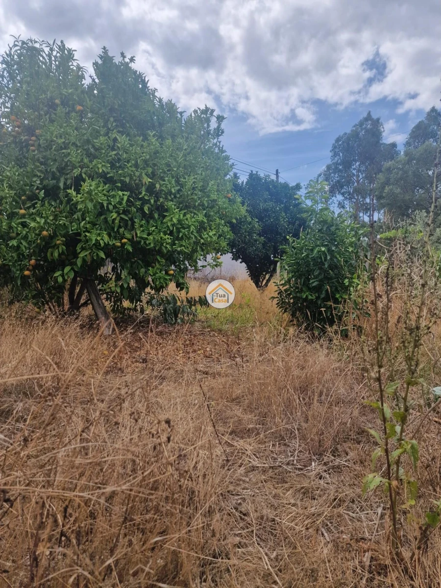 Moradia T3 para Venda em Lousã e Vilarinho Foto 29