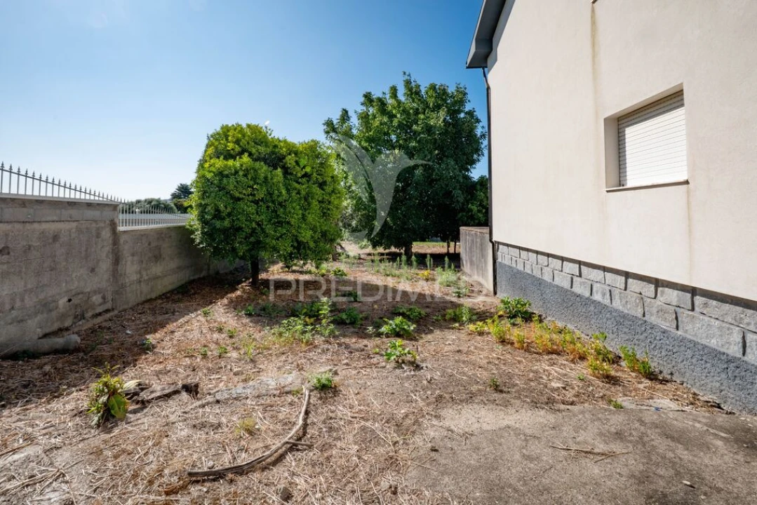 Terreno para Venda em Ferreiros, Prozelo e Besteiros Foto 16
