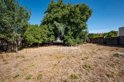 Terreno para Venda em Ferreiros, Prozelo e Besteiros