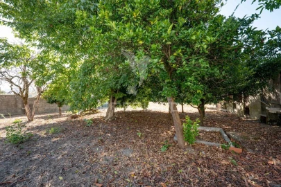 Terreno para Venda em Ferreiros, Prozelo e Besteiros