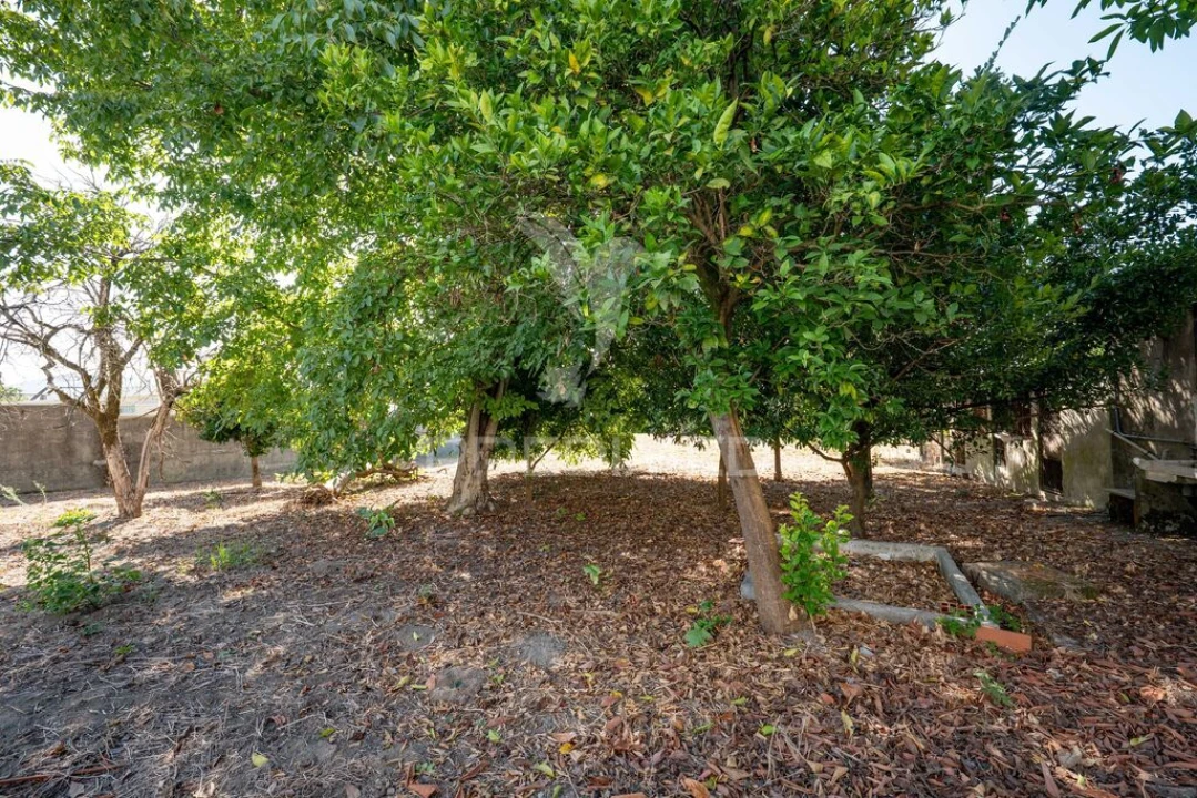 Terreno para Venda em Ferreiros, Prozelo e Besteiros Foto 8